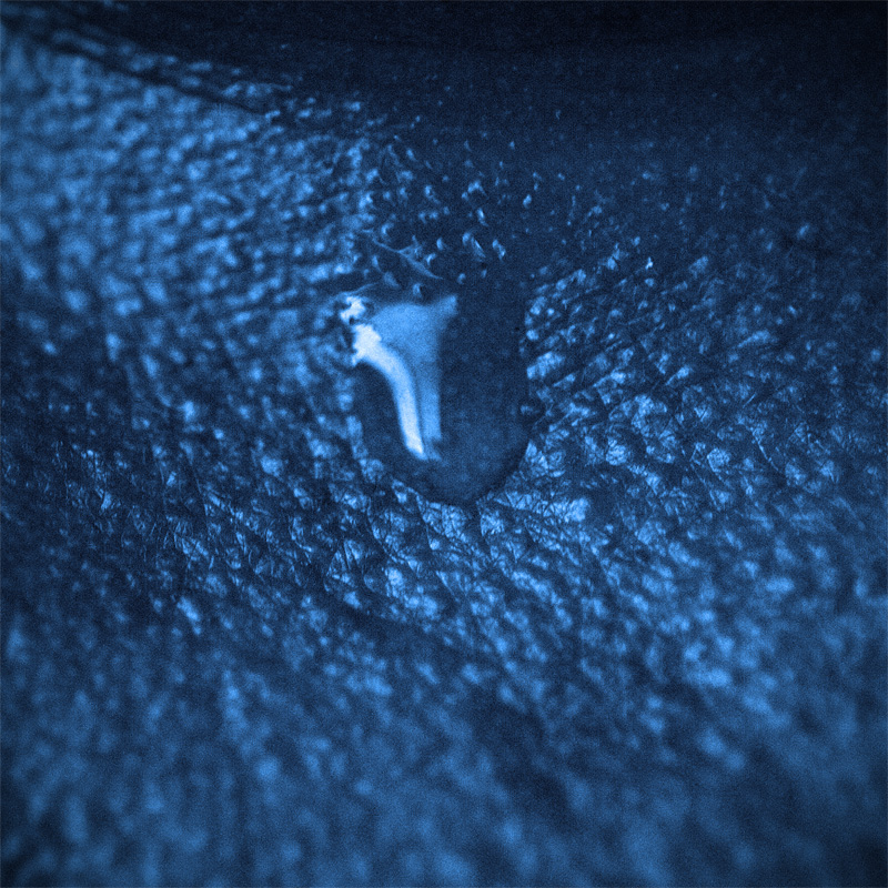 Oceans of Melancholy