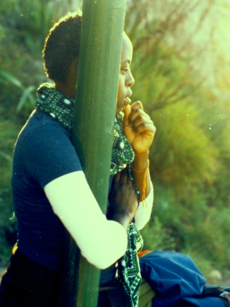 Lost in a mountain of thought