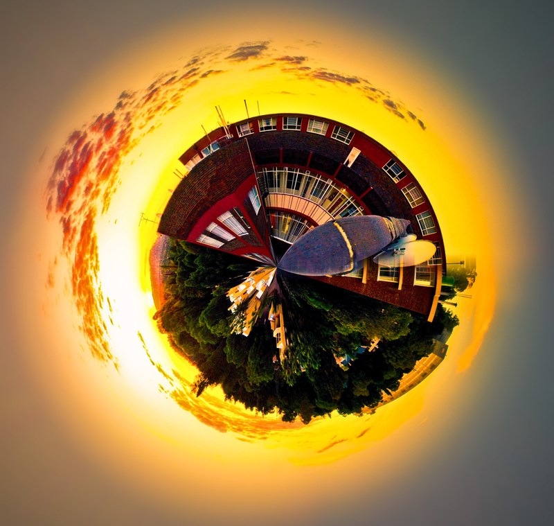 till tomorrow #3 (planet wilds)