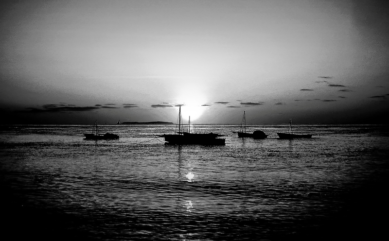 Sunrise  in Black and White