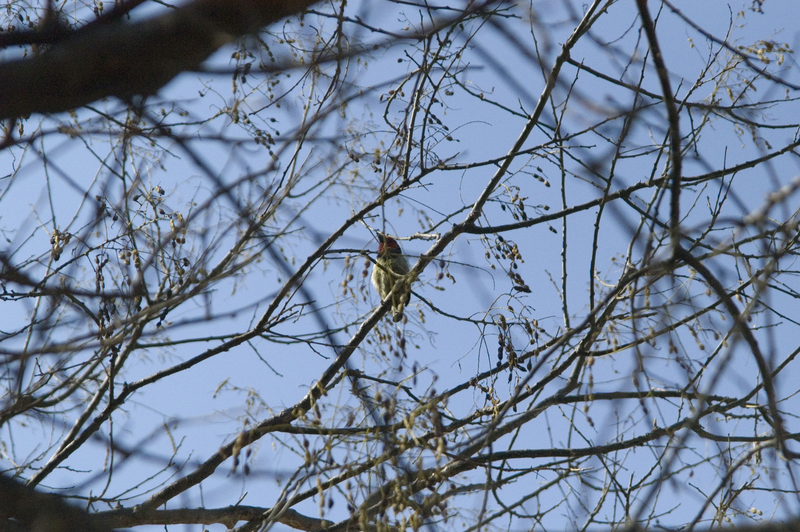 Testing, Testing...1 2 3