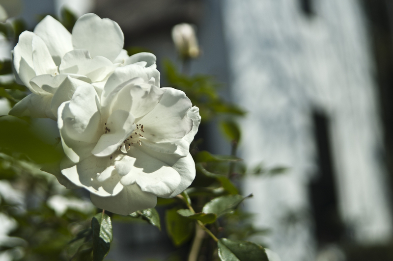 To all the women out there...