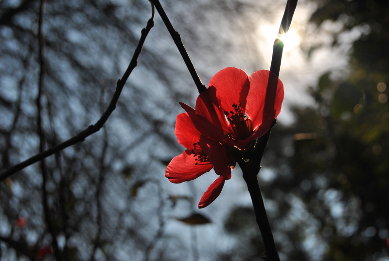 If only..............................!