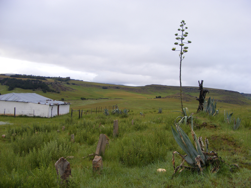 TravellingMan -- Origins: Bonds [2]