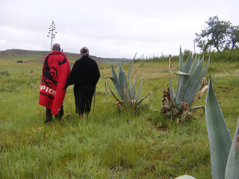 TravellingMan -- Origins: Bonds [3]