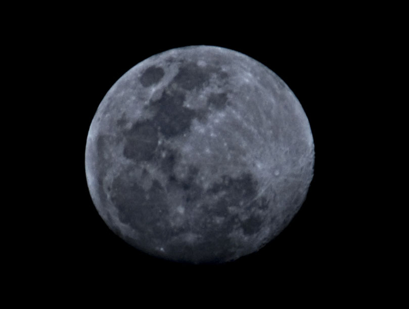 Our neighbor. Last night. Panties off