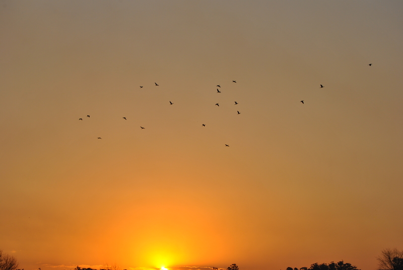 18 following One = 19