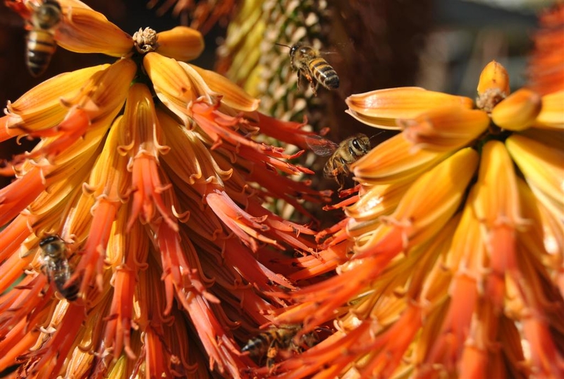 Enroute - Hard at work (2)