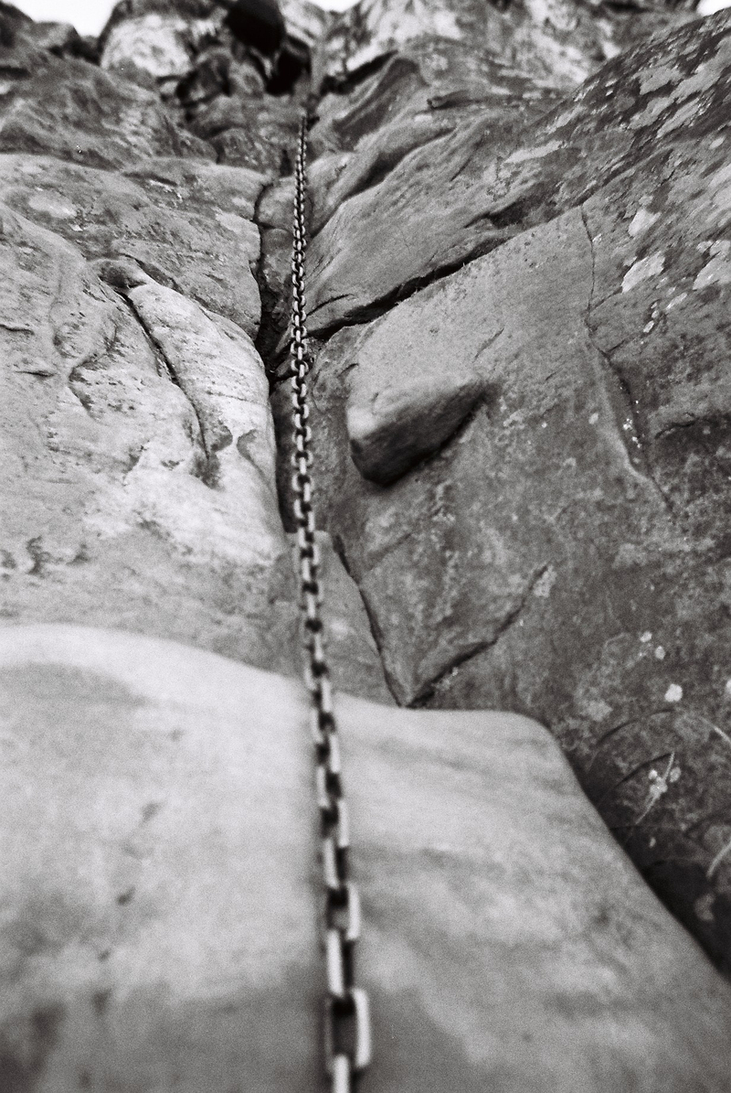 We all need a helping hand