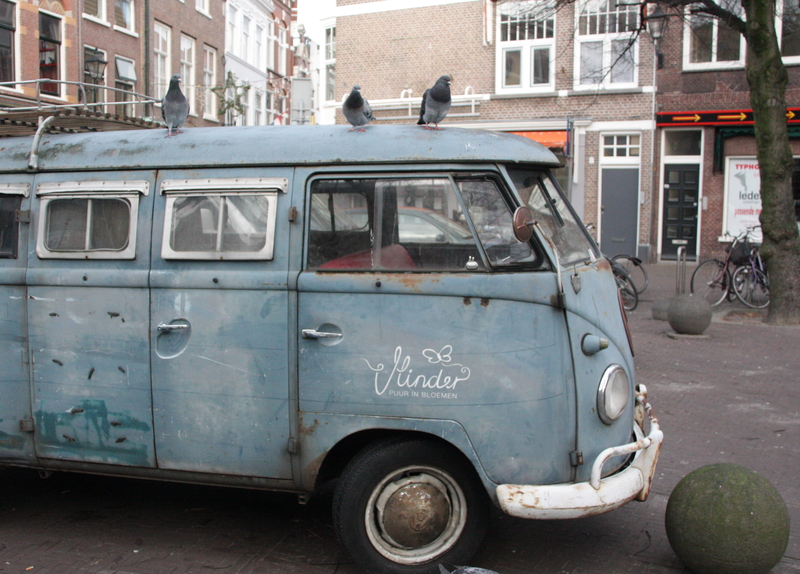 Rat Look - Y Shape Dub