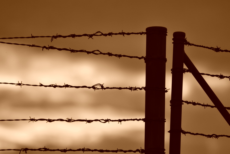 Through the gap.....see freedom