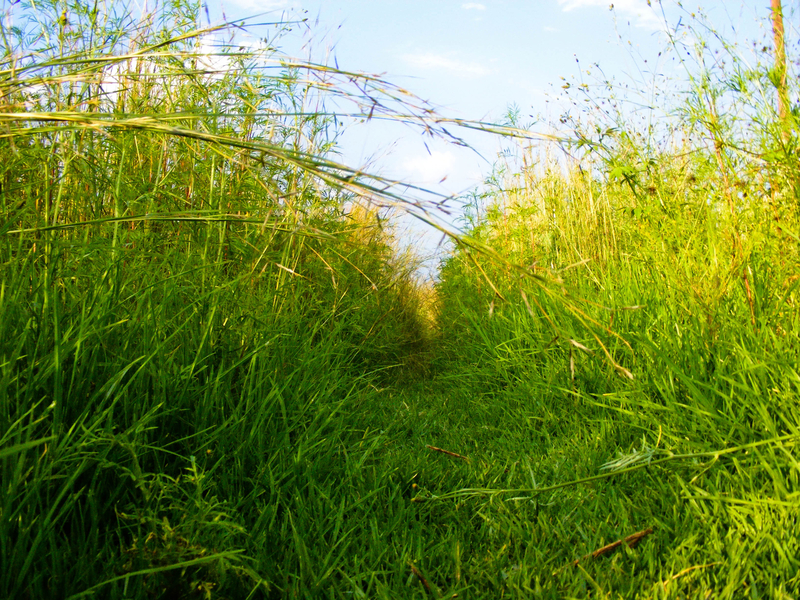 Norrow is the Jounery of life