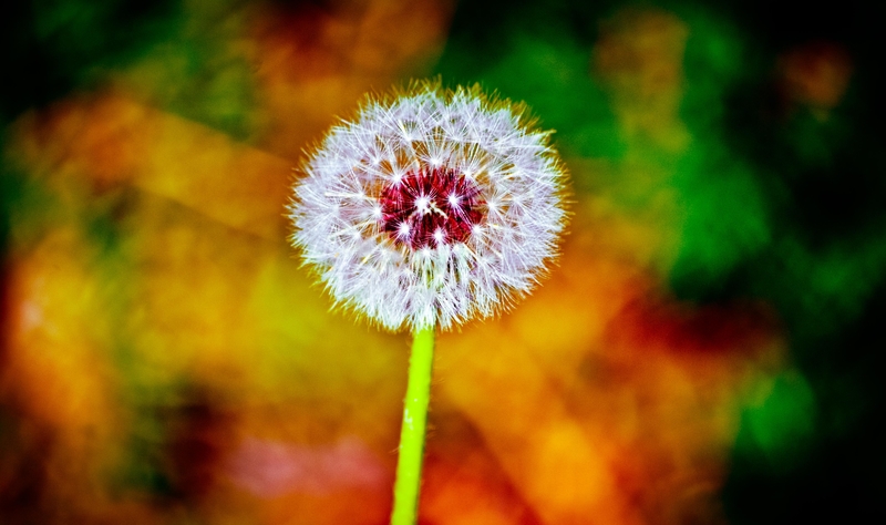 Do you recall the time *singing*