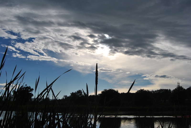 Brewing storm.....trouble times ahead.....!