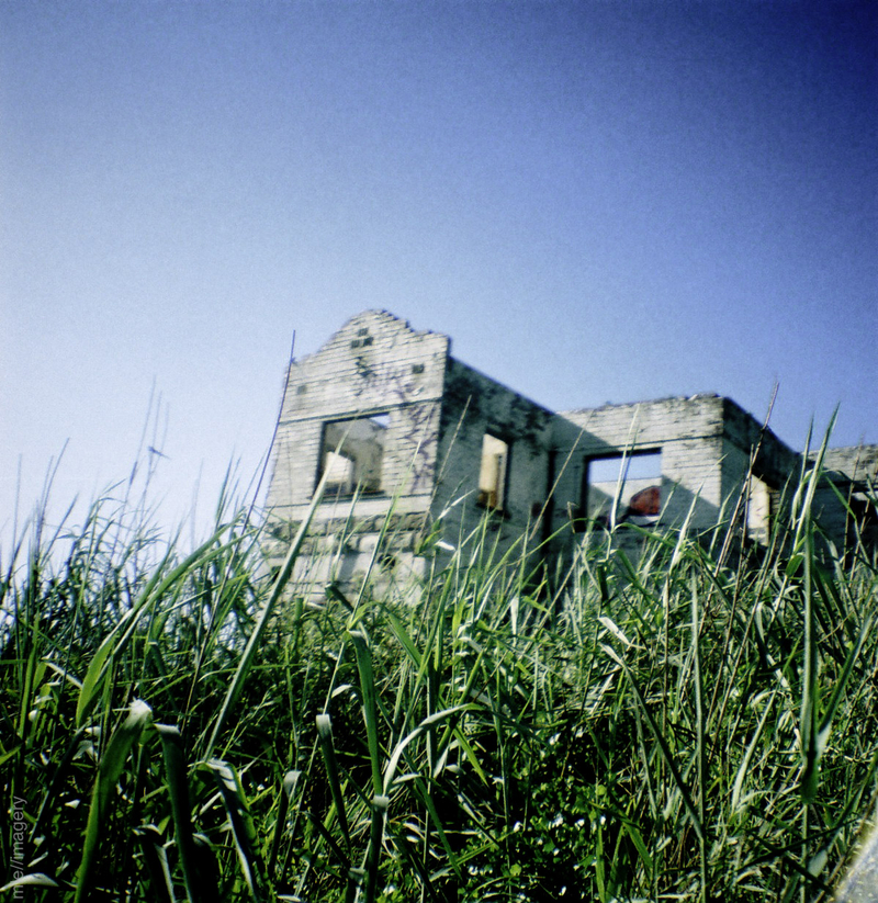 The grass is greener