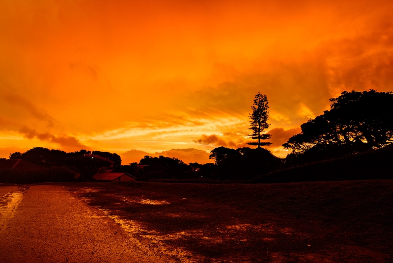 Don't rain on my parade II