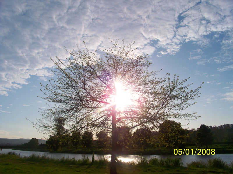 Seeing through it all with my eyes blinded....!