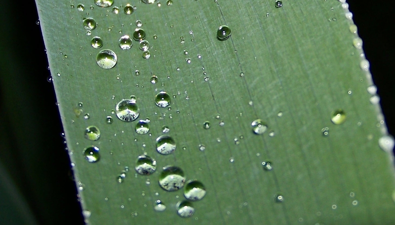 Ready to Roll................!