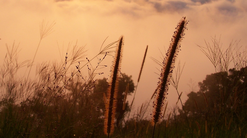 Dawn of a new day............