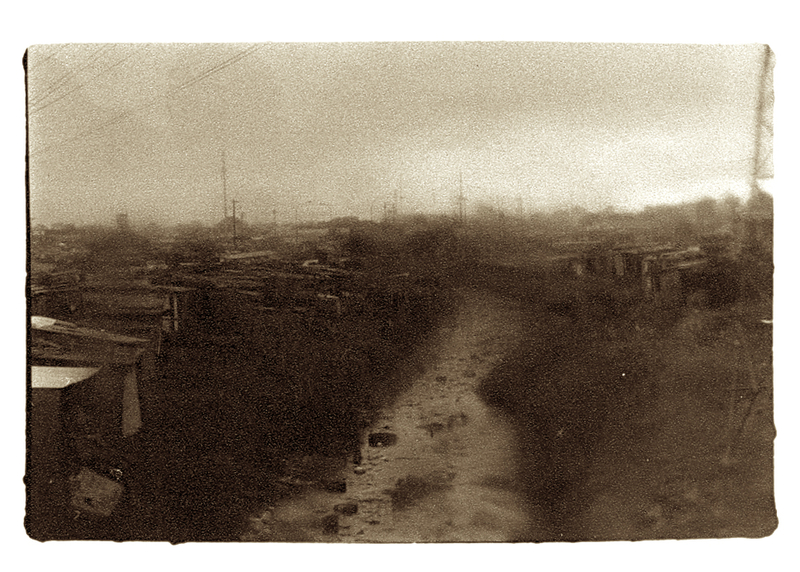 maybe this is a reap --