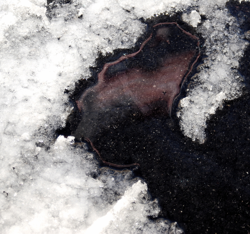 let the sun beat down upon my face...and stars to fill my dreams*