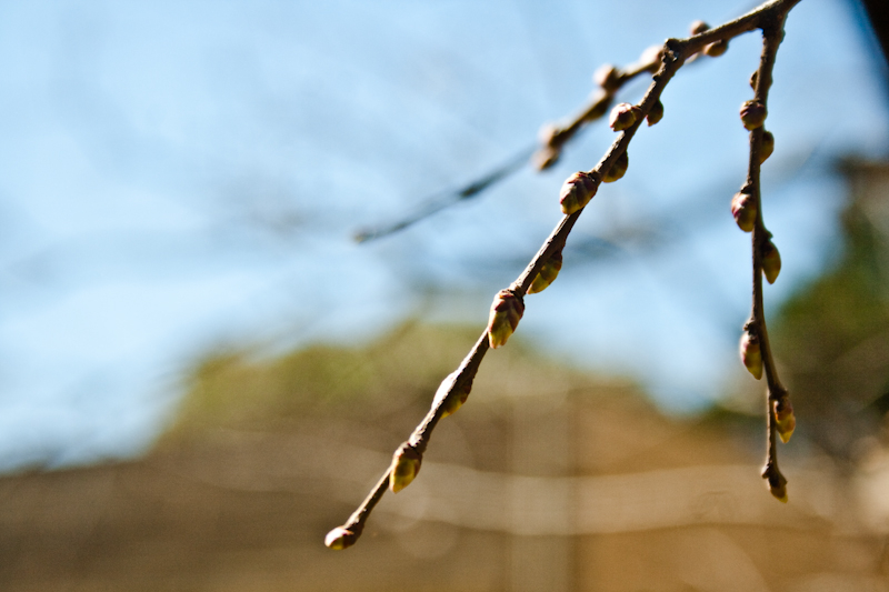 ( woke up this morning )