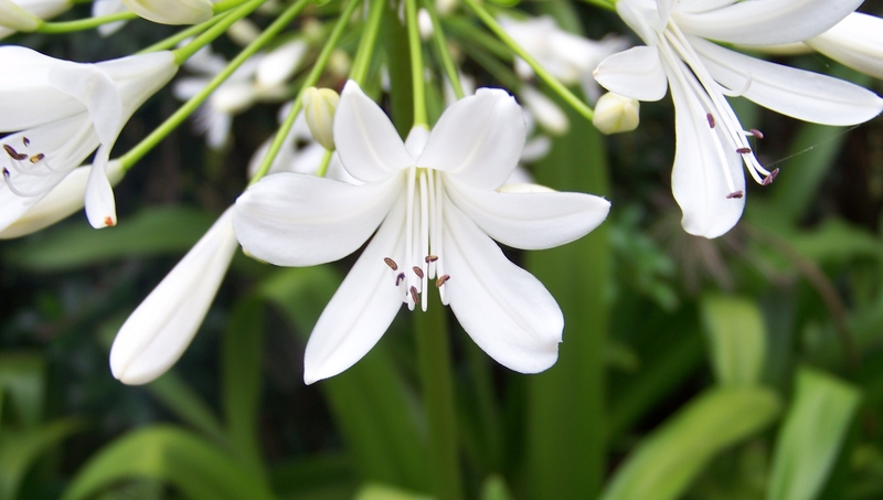 Pure thoughts........!