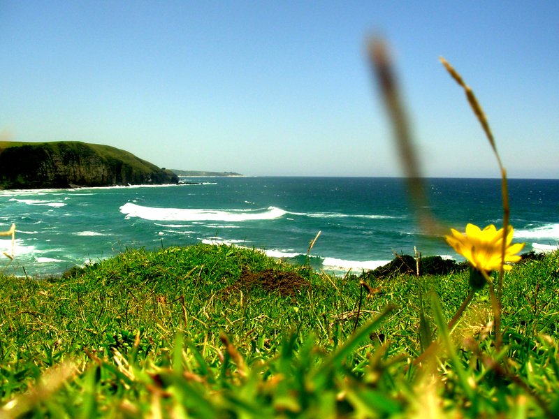 Wish we had more time