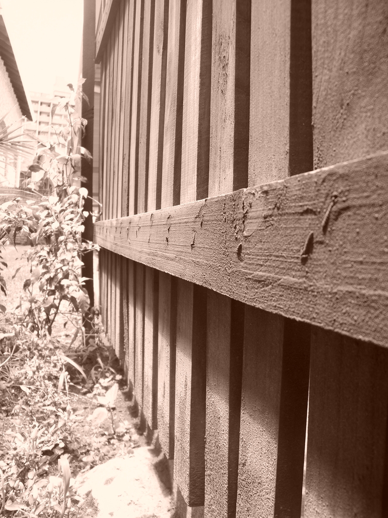 My wall of solitude.......!