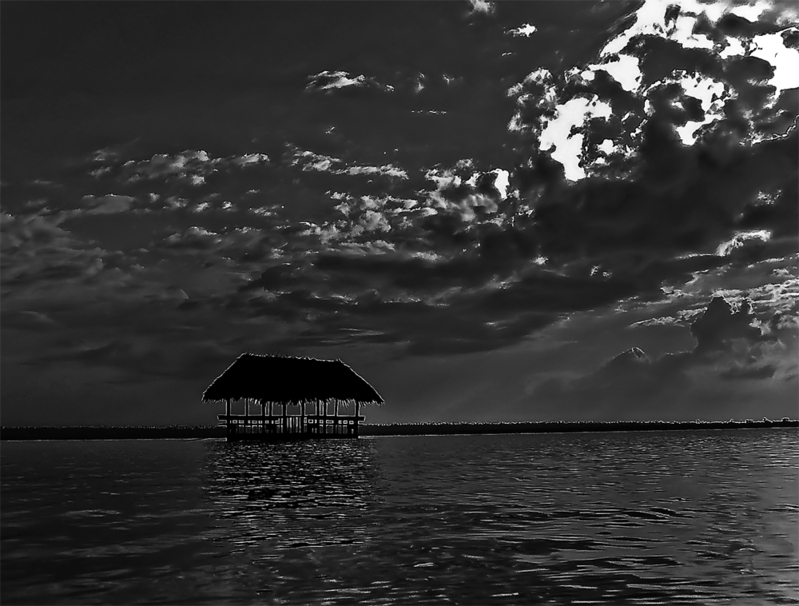 The stalk of the moon in Black and White