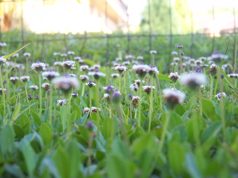 Are you one of us.....standing tall as shot as we are....?