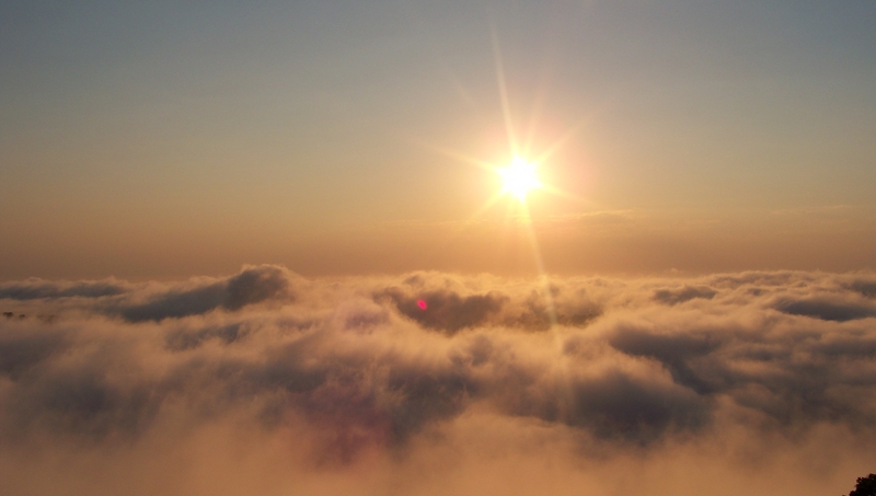 Floatin on a morning breeze..........