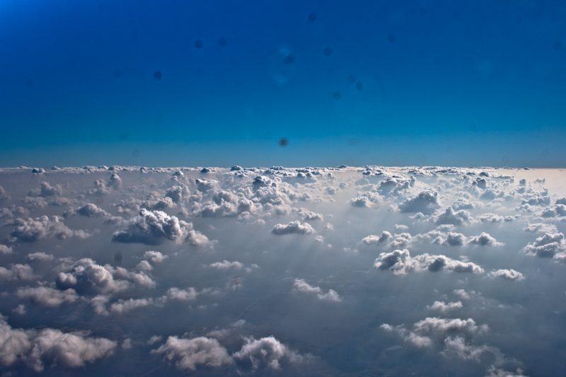 You are beginning to plague me