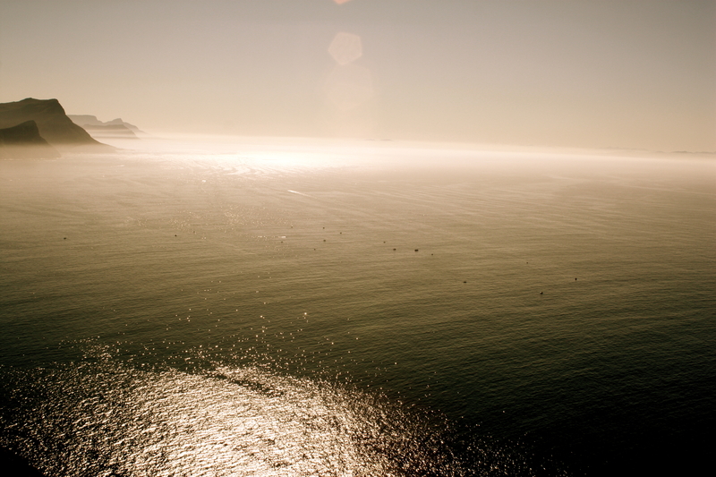 a gift to the world.