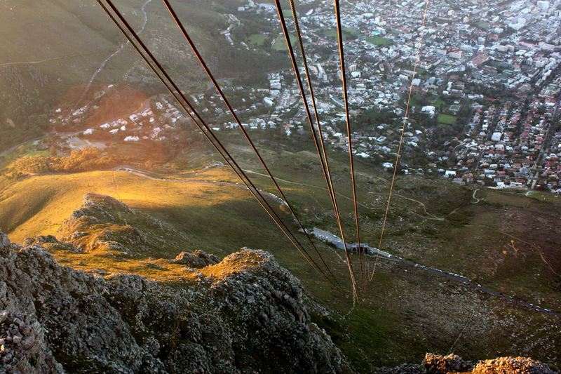 i came , i saw, i conquered.