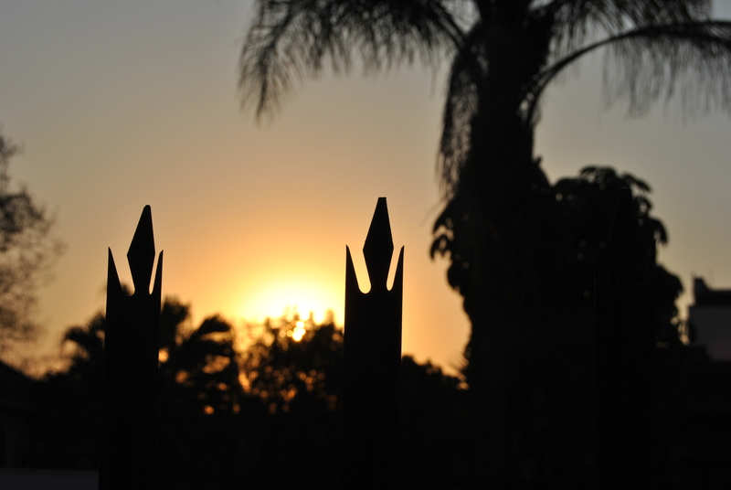 Reaching out to the Lord......