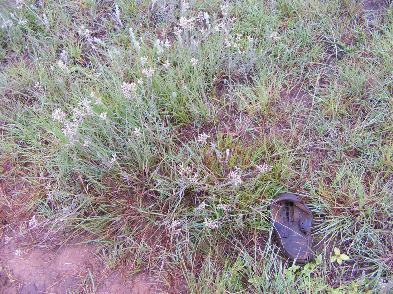 TravellingMan -- Origins: Eastern Cape [5]