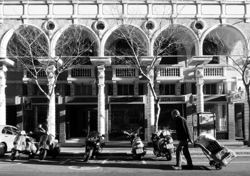 Urban Collage # 05 - Jewel Tree