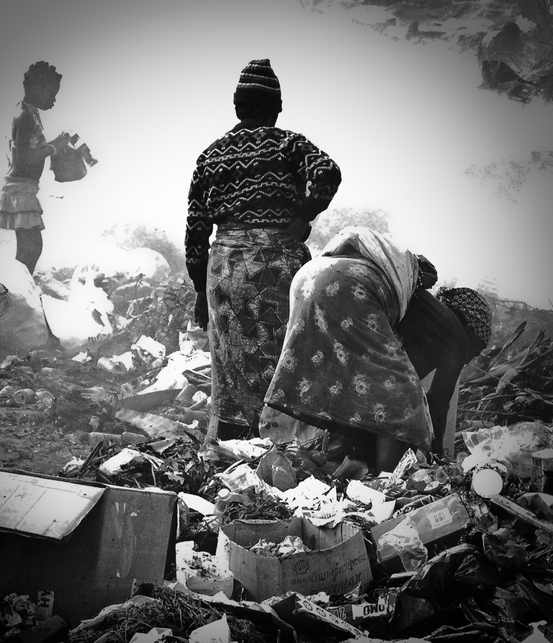 What is necessary to do, to survive.