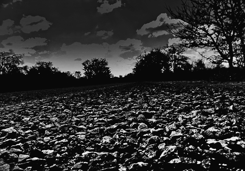 tar road