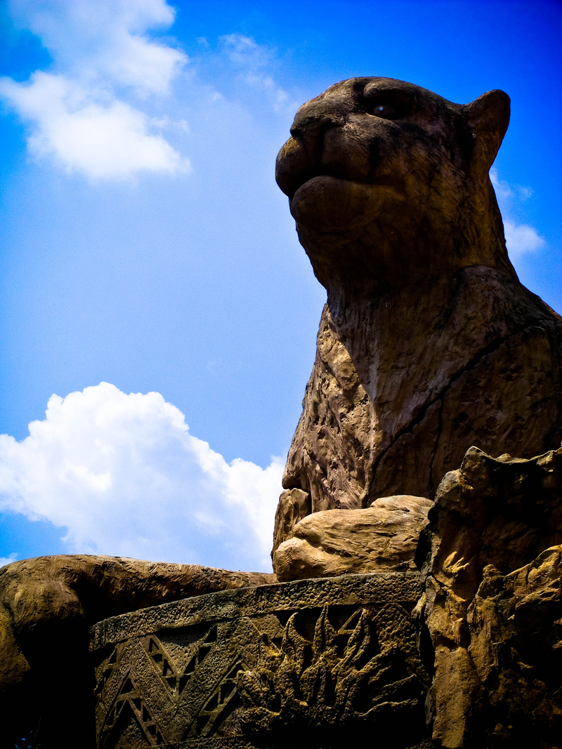 Steadfast and strong watching over the Sun