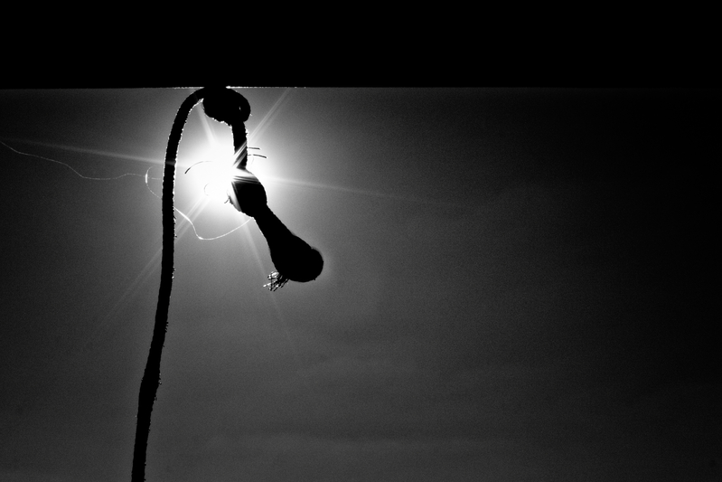 untitled - (less is more)