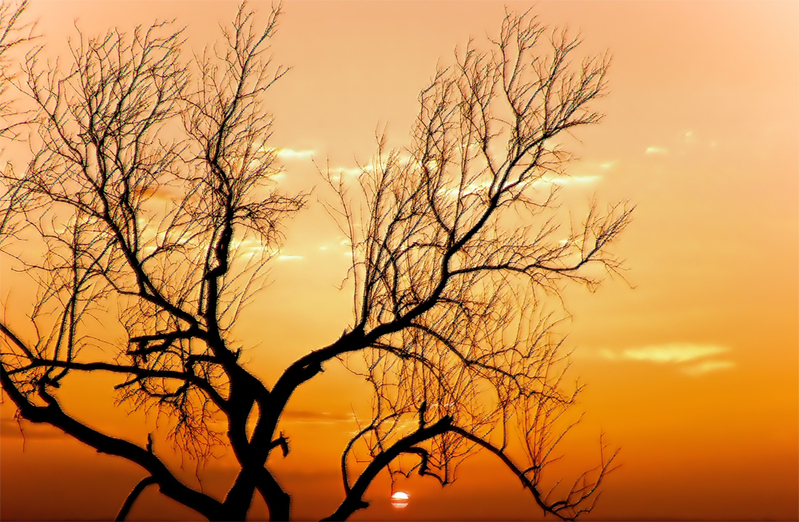 The sunset in orange