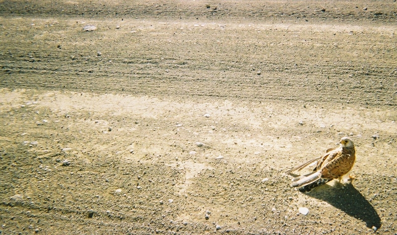 They knew we were coming.