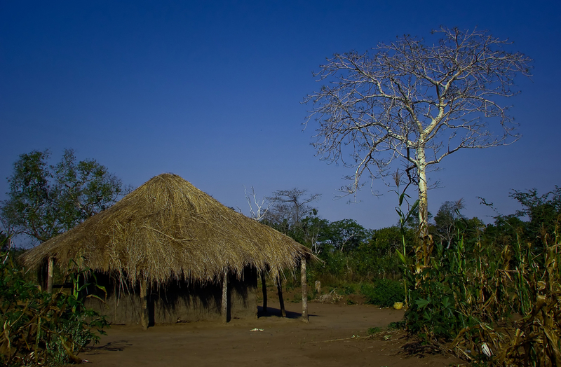 Hut - Mozambique