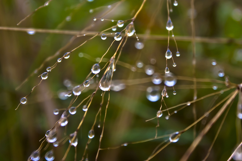 ...dancing with the stars