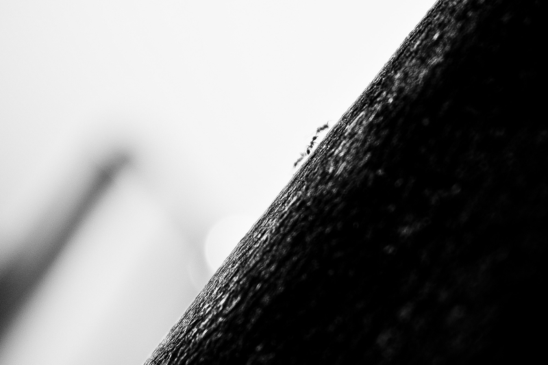 three on the move...