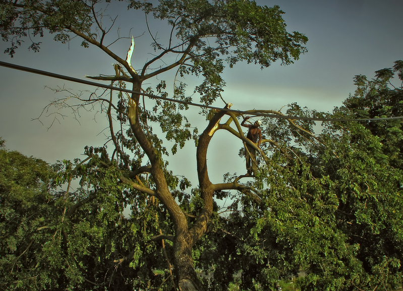 The eternal conflict between man and environment