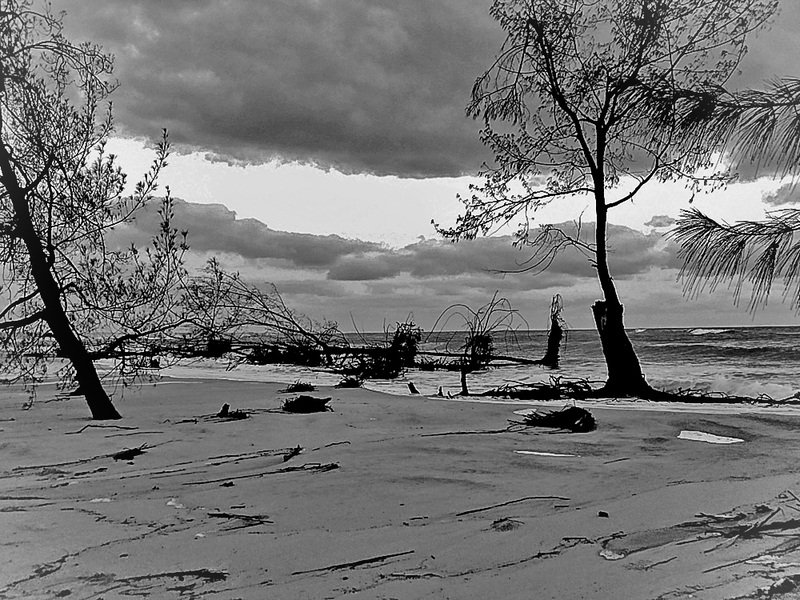 A beach in black and white