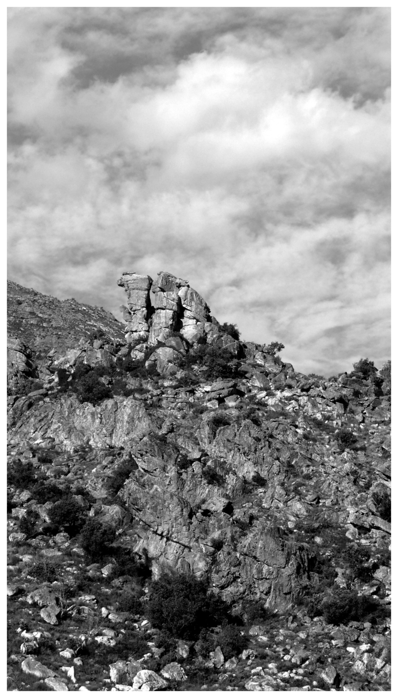 Forward to Cape Town ^02